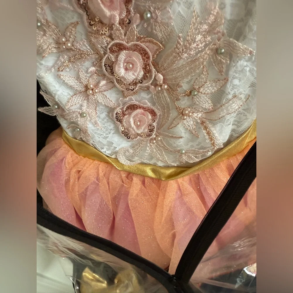 Laylas Dance CAROUSEL WALTZ Pink and Gold Kids Ballet Dance Costume Dress
